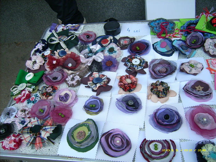 DSCI7699 - 1 Martie 2011