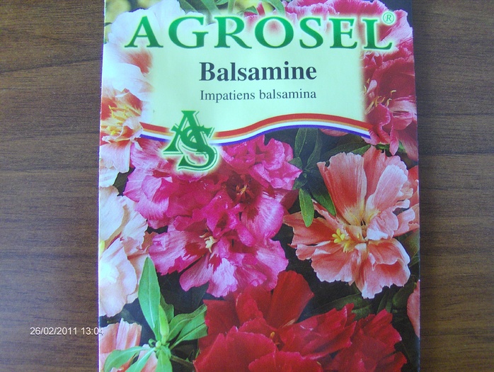balsamine...OK..roz,mov,alb - ACHIZITII 2011