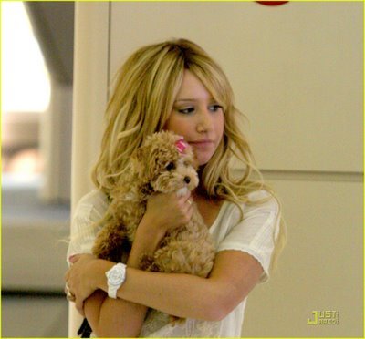 ashley-tisdale-pooch-power-04 - club ashley