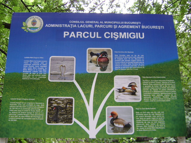 1 - PARCUL CISMIGIU