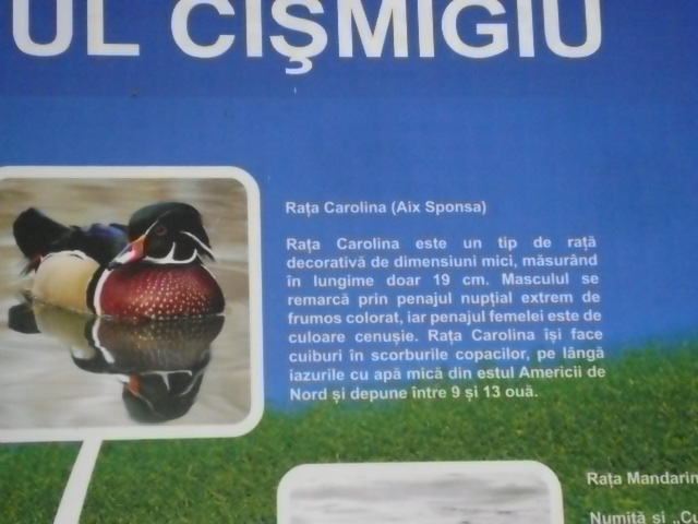 4 - PARCUL CISMIGIU