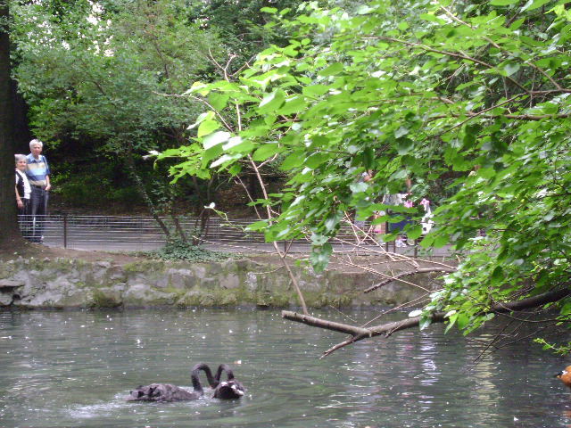 TANDRETURI PE APA SI PE MAL