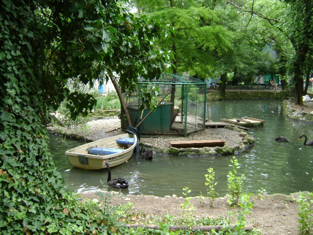 DSC02307 - PARCUL CISMIGIU