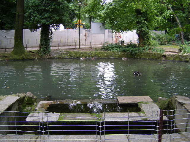 DSC02309 - PARCUL CISMIGIU