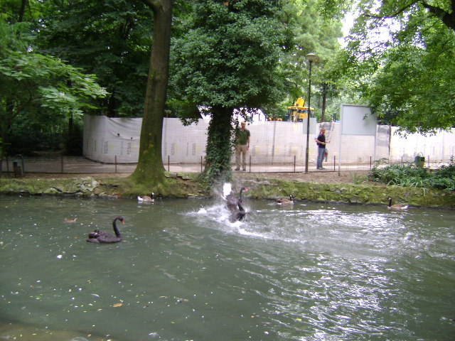 DSC02313 - PARCUL CISMIGIU