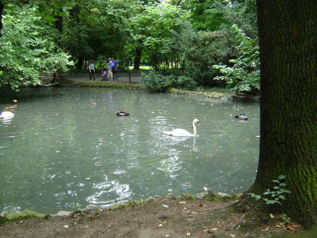 DSC02319 - PARCUL CISMIGIU