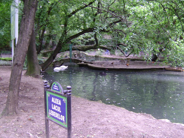 DSC02320 - PARCUL CISMIGIU