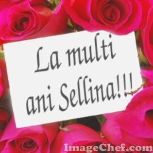 La multi ani Sellina!!! - Petrecerea 2