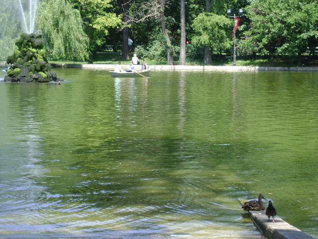 DSC02383 - PARCUL CISMIGIU