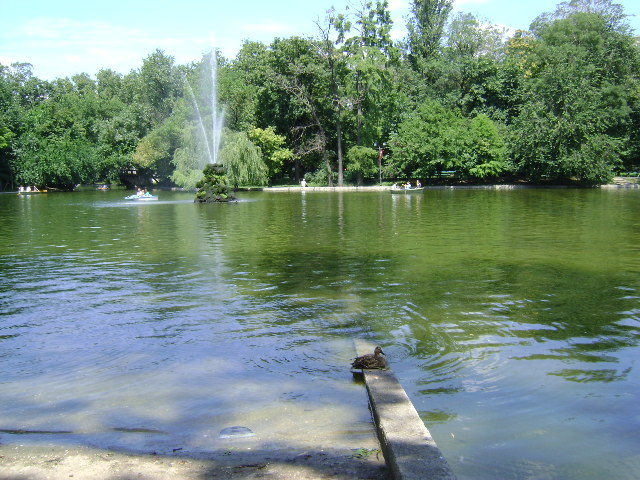 CE ASCUNDE RATUSCA..? - PARCUL CISMIGIU