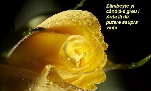 r224 - Danut           iubire