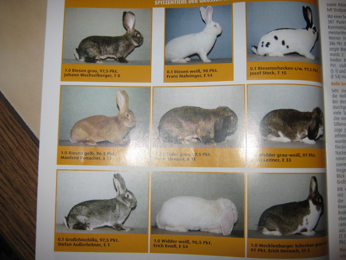 toti campionii Austriei -2011