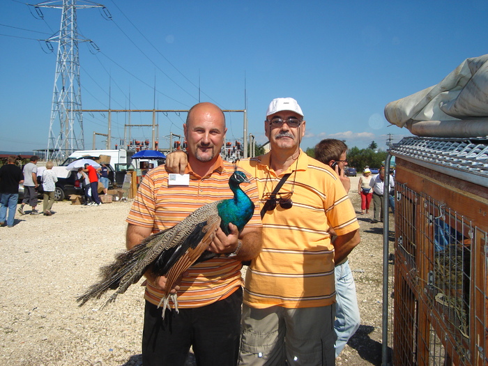 Pauni de vanzare; Eu si Adi cu paunii la targul de la Prejmer in aug.2010
