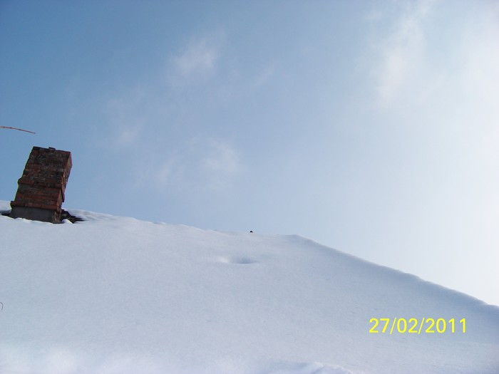 100_9439 - Iarna 2010  2011