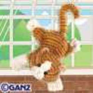 alley cat - Animalute Webkinz