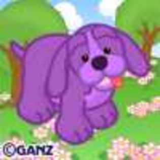 ametist hound - Animalute Webkinz