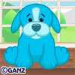 aquamarine puppy - Animalute Webkinz