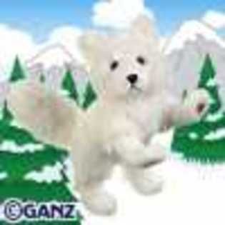 arctic fox - Animalute Webkinz