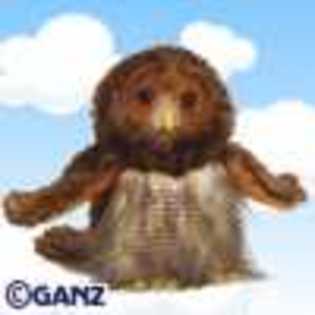 barred owl - Animalute Webkinz