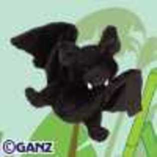 bat - Animalute Webkinz