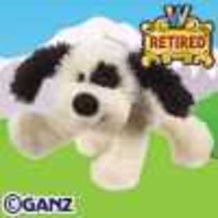 black and white cheeky dog - Animalute Webkinz