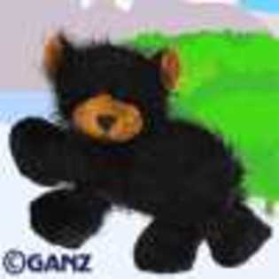 black bear - Animalute Webkinz