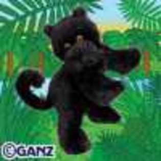 black panther - Animalute Webkinz