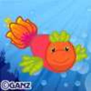 blossom fish - Animalute Webkinz