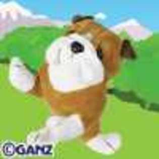 bulldog - Animalute Webkinz