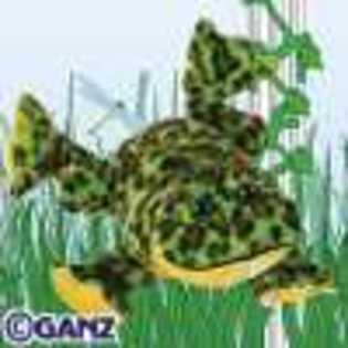 bullfrog - Animalute Webkinz