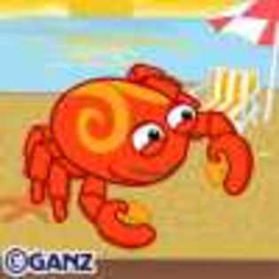 cancer crab