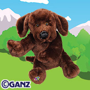 chocolate lab - Animalute Webkinz