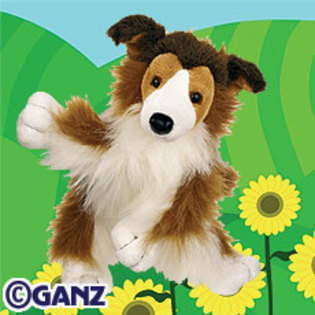 collie - Animalute Webkinz