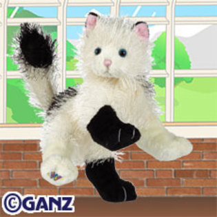 domino cat - Animalute Webkinz