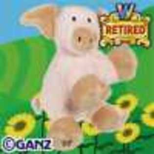 floppy pig