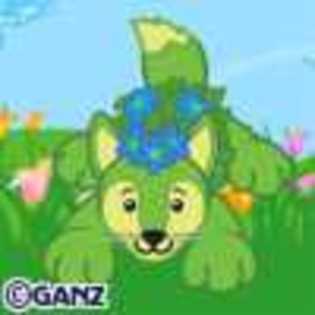 floral fox