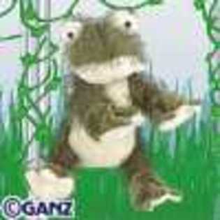frog