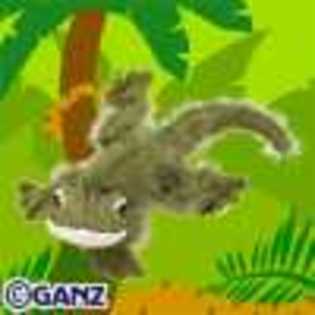 gecko