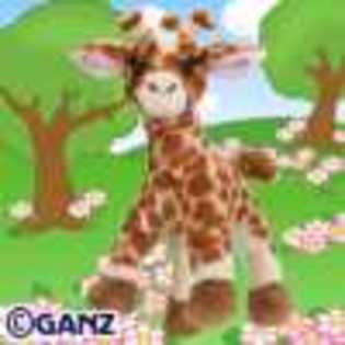 giraffe - Animalute Webkinz