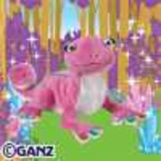 glamour geko