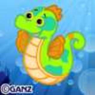 green seadragon