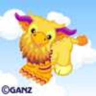 griffin - Animalute Webkinz