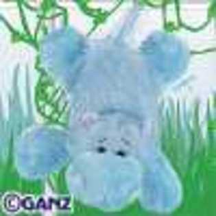 hippo