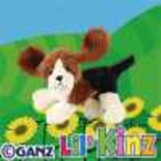 lil