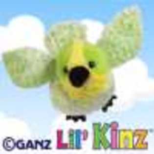 lil