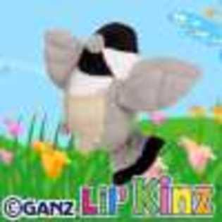 lil