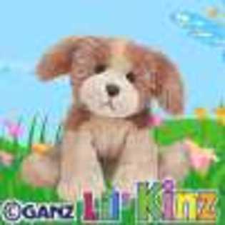 lil - Animalute Webkinz