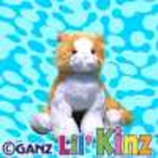 lil - Animalute Webkinz