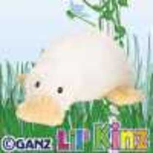 lil\' googles - Animalute Webkinz