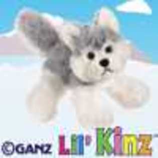 lil\' husky - Animalute Webkinz